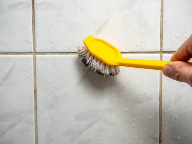 Best Office Mold Removal Services  in Winter Beach, FL