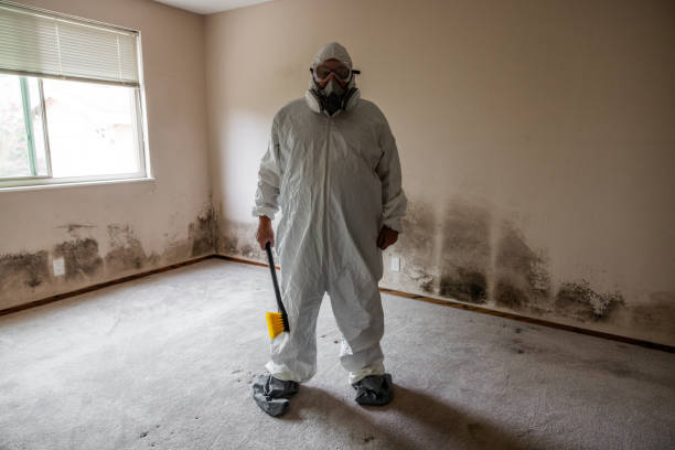 Best Mold Remediation Services  in Winter Beach, FL